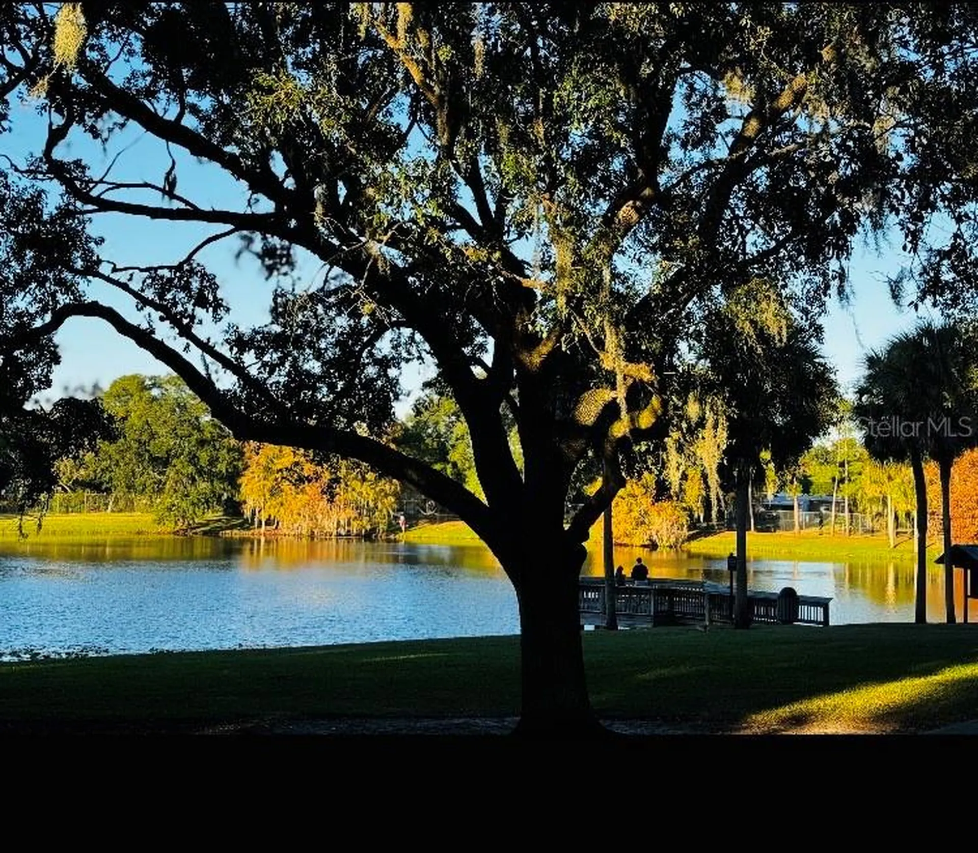 5345 Avon Court Orlando FL 32807