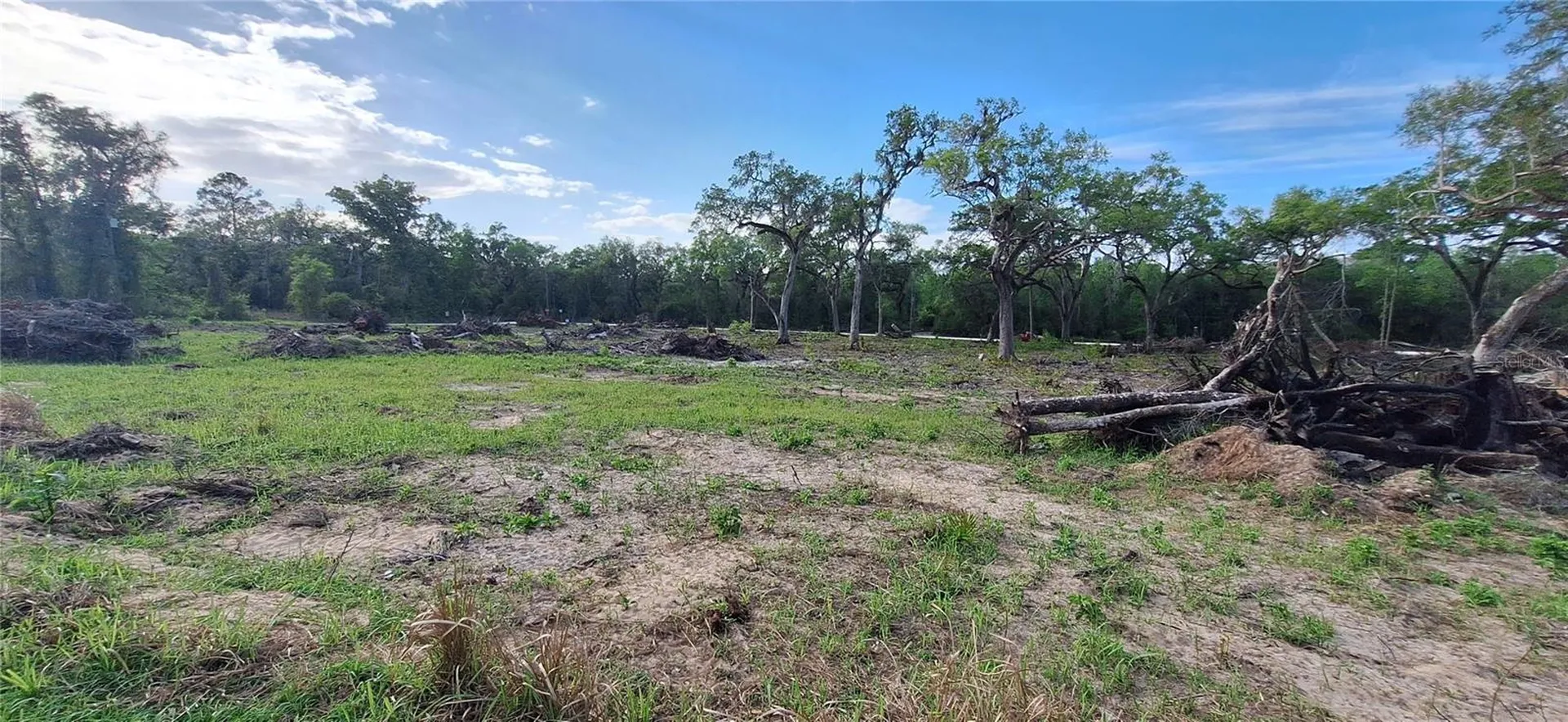7242 Elaine Drive Webster FL 33597