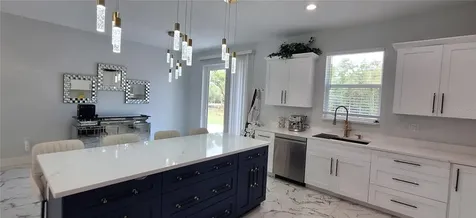 7242 Elaine Drive Webster FL 33597