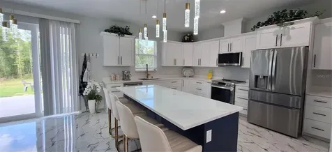 7242 Elaine Drive Webster FL 33597