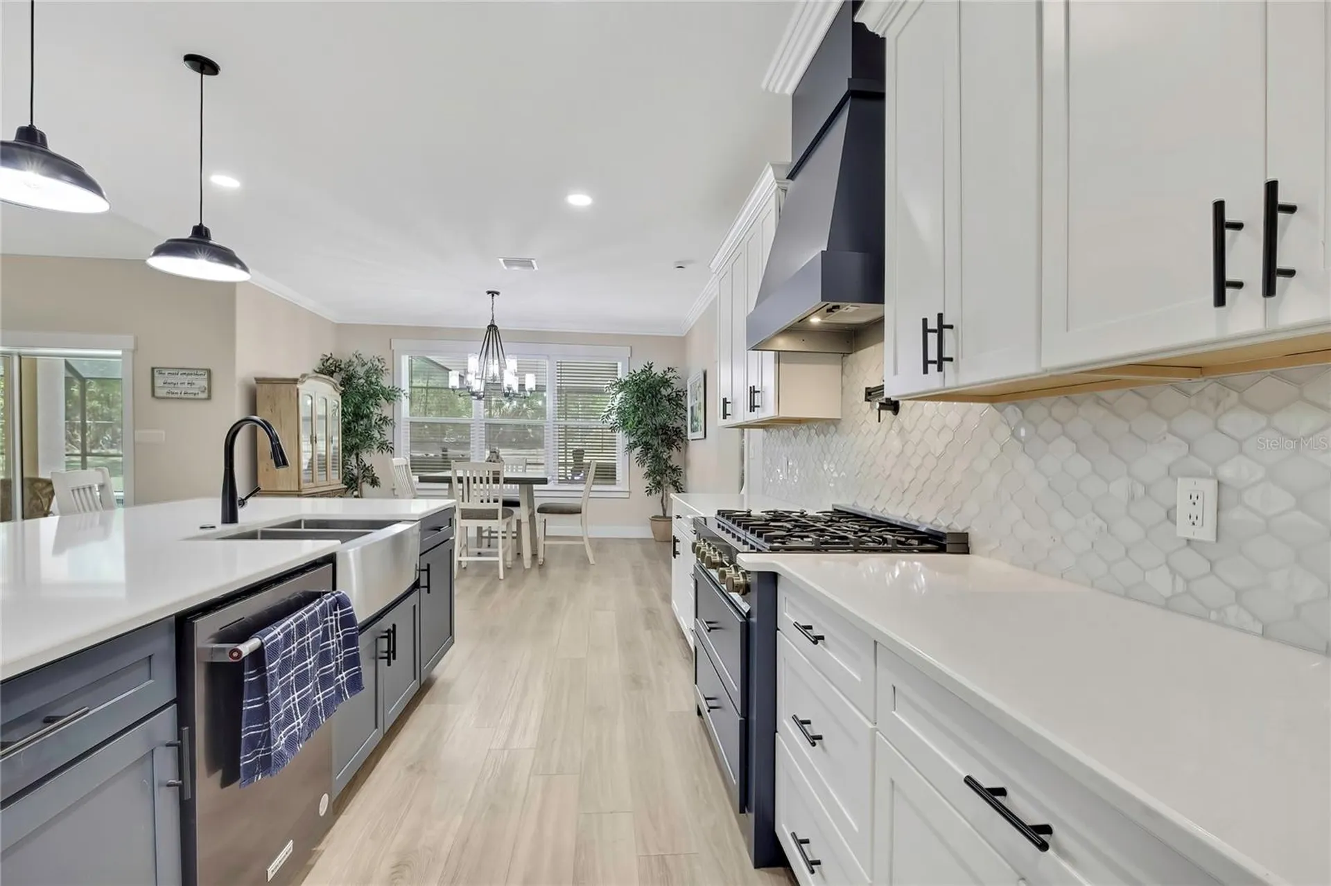 3991 N Buckhorn Drive Beverly Hills FL 34465
