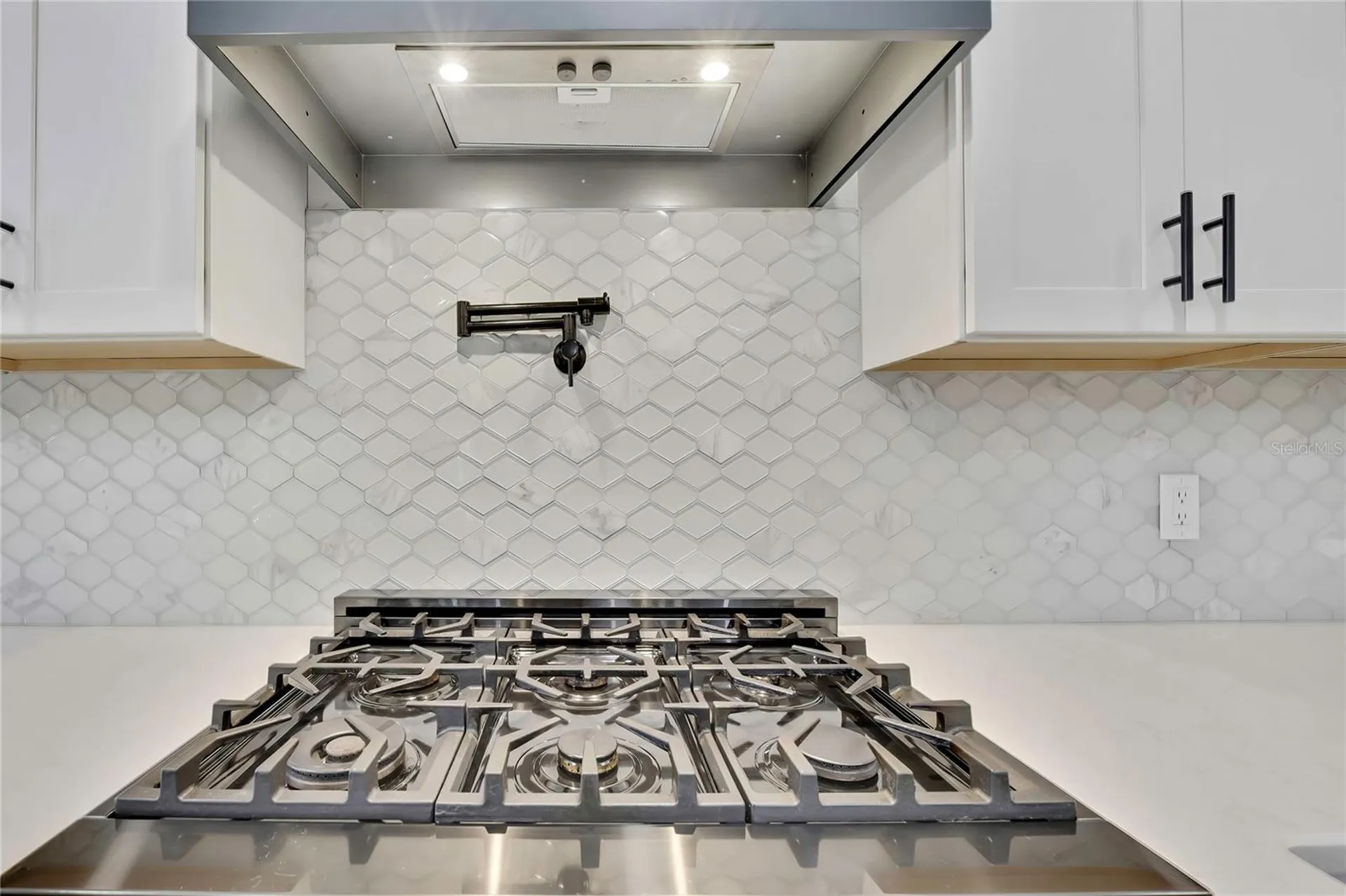 3991 N Buckhorn Drive Beverly Hills FL 34465