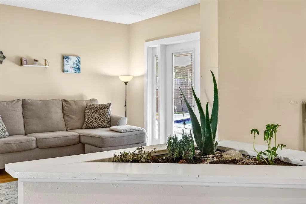 12913 Rain Forest Street Temple Terrace FL 33617