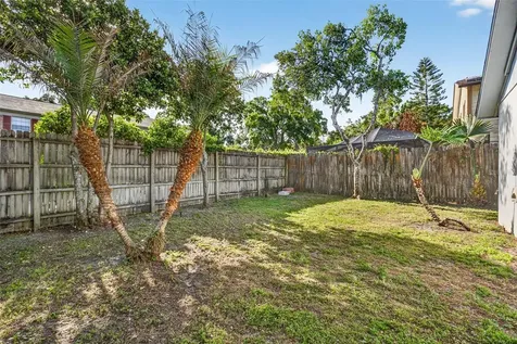 12913 Rain Forest Street Temple Terrace FL 33617
