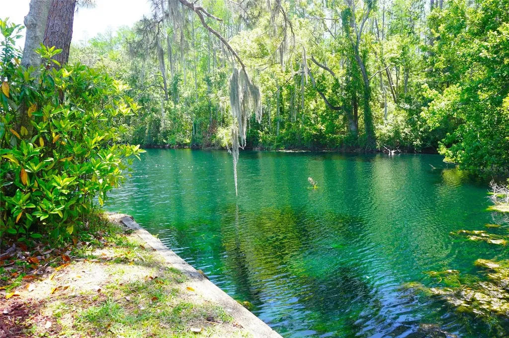 1873 Mazo Manor Lutz FL 33558