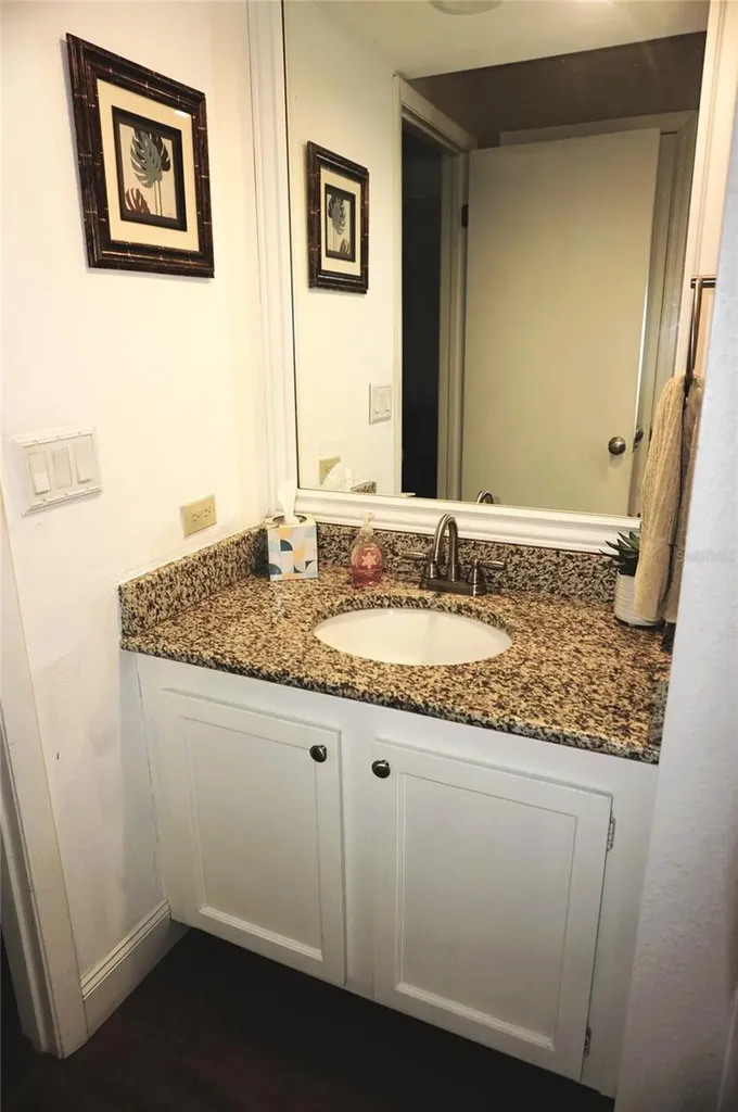 1873 Mazo Manor Lutz FL 33558