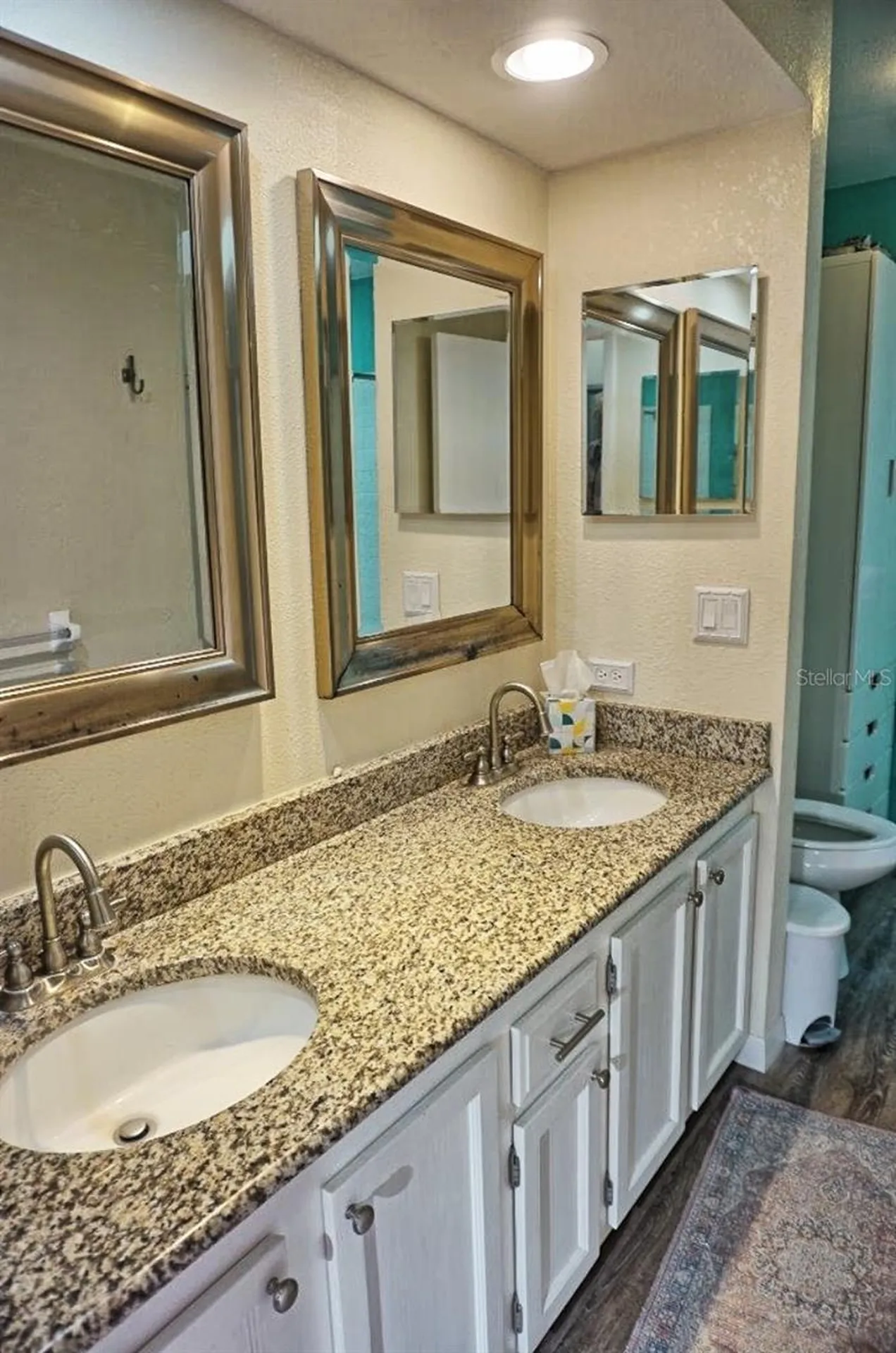 1873 Mazo Manor Lutz FL 33558
