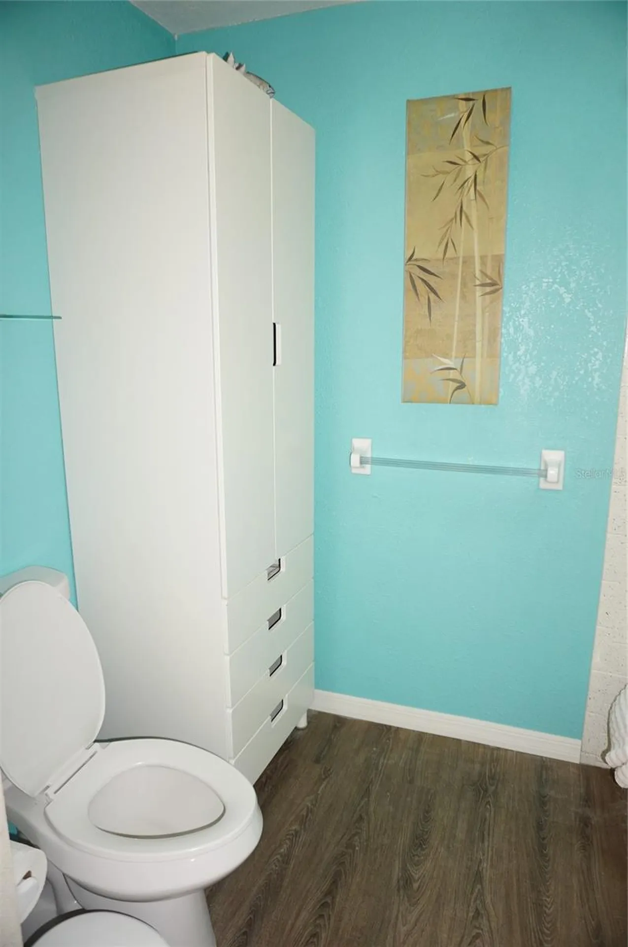 1873 Mazo Manor Lutz FL 33558