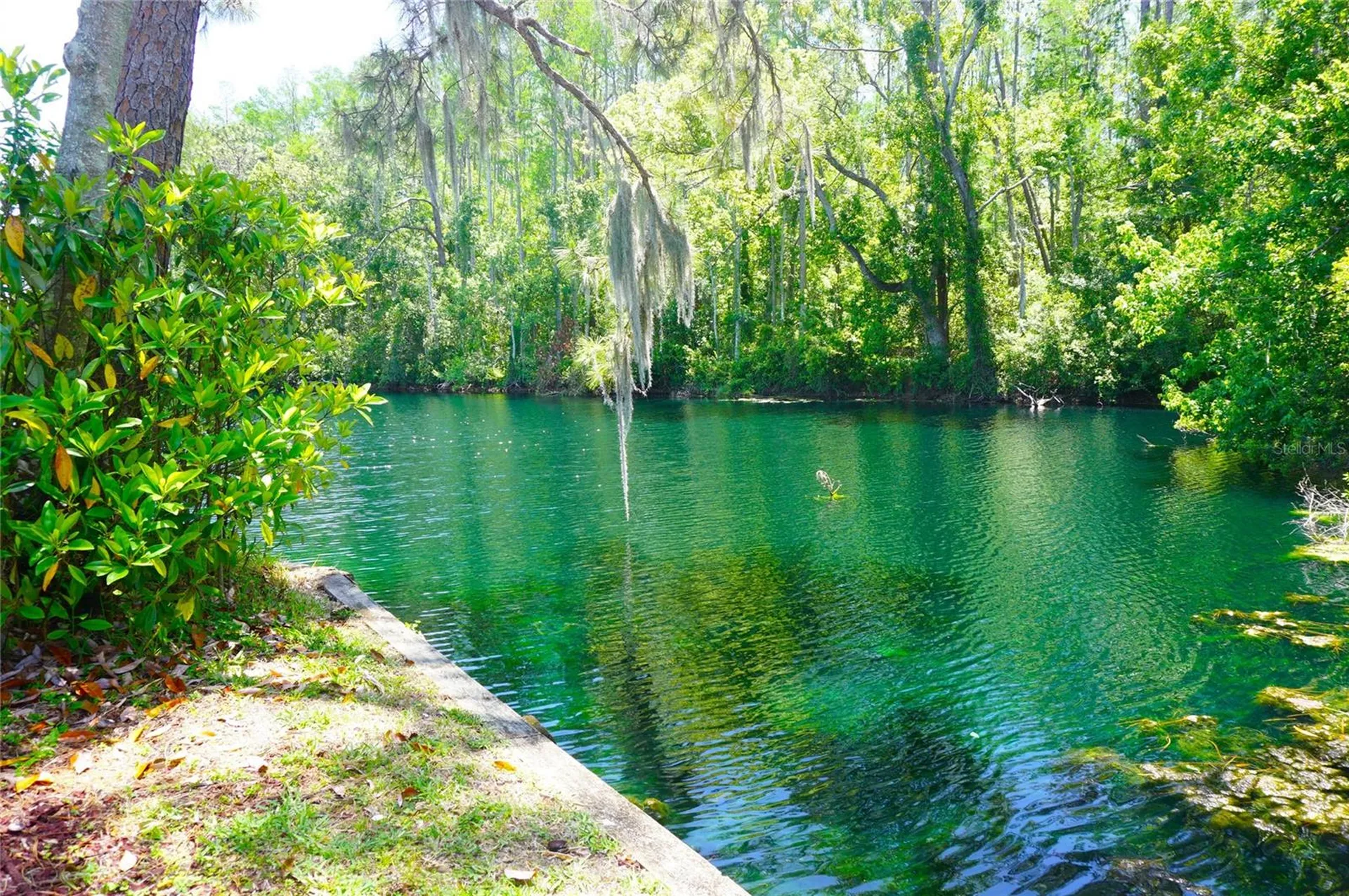 1873 Mazo Manor Lutz FL 33558