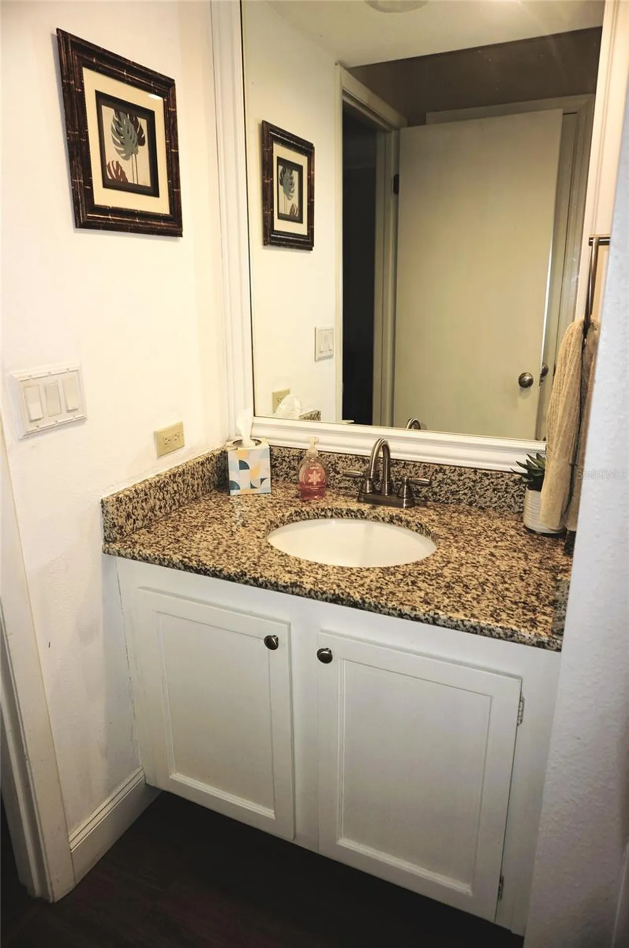 1873 Mazo Manor Lutz FL 33558