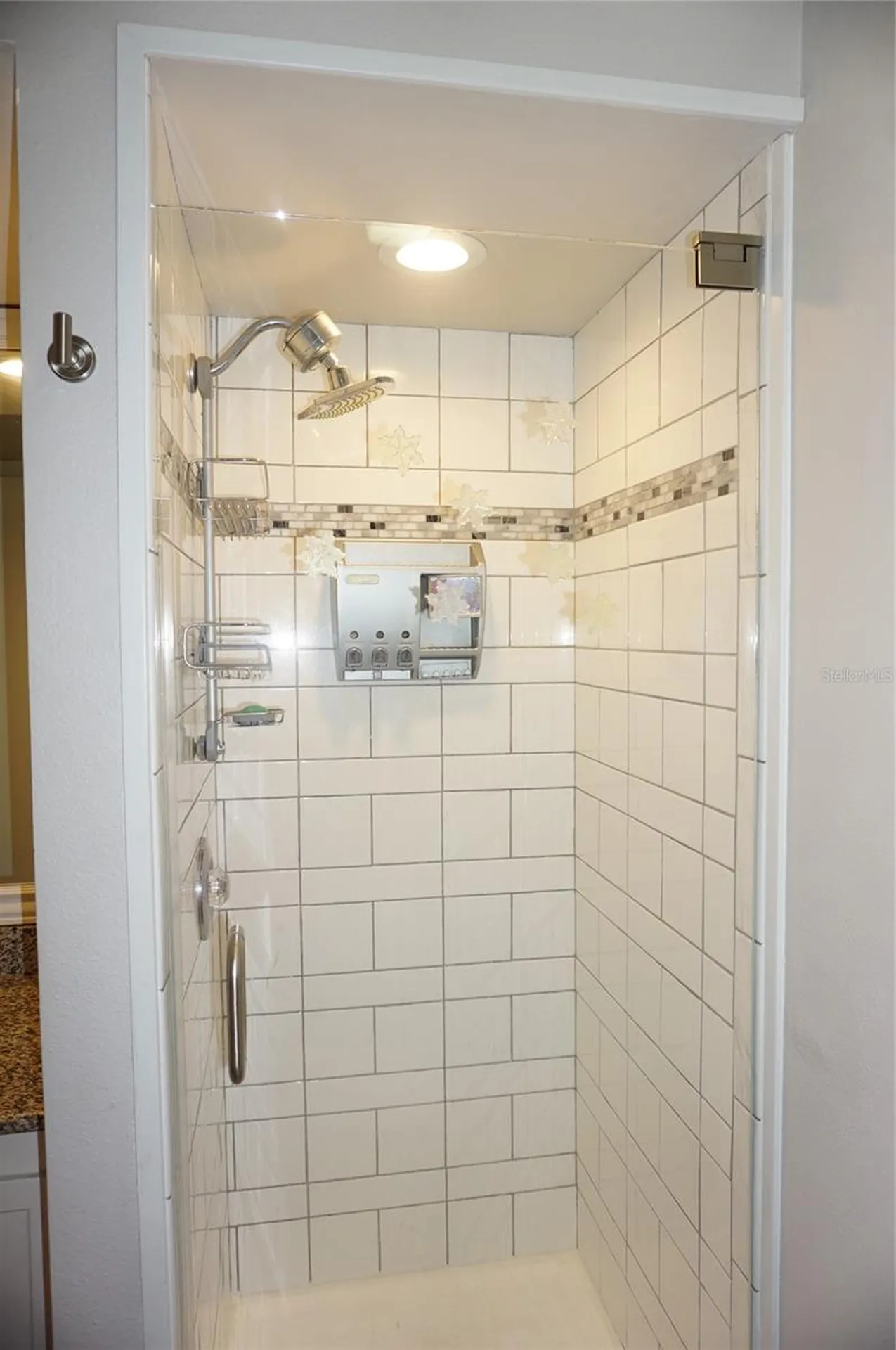 1873 Mazo Manor Lutz FL 33558
