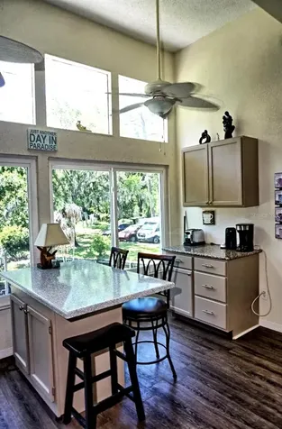 1873 Mazo Manor Lutz FL 33558