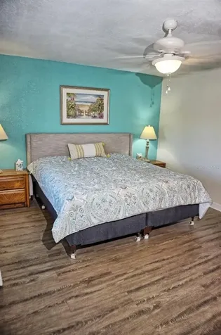 1873 Mazo Manor Lutz FL 33558