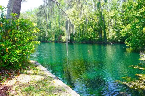 1873 Mazo Manor Lutz FL 33558