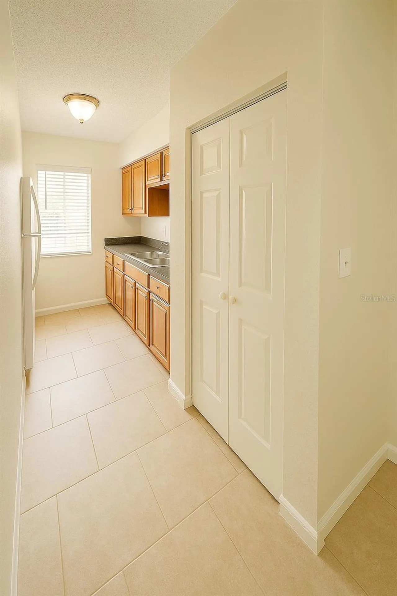 7520 Needle Leaf Place Tampa FL 33617