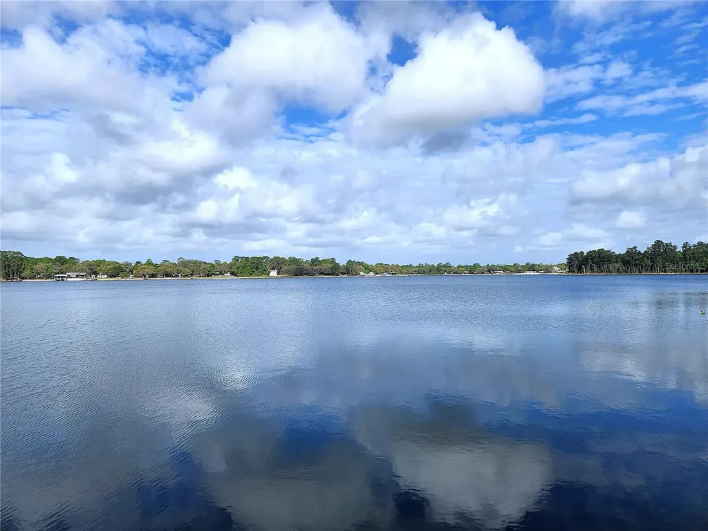 22380 NE 112th Terrace Fort Mc Coy FL 32134