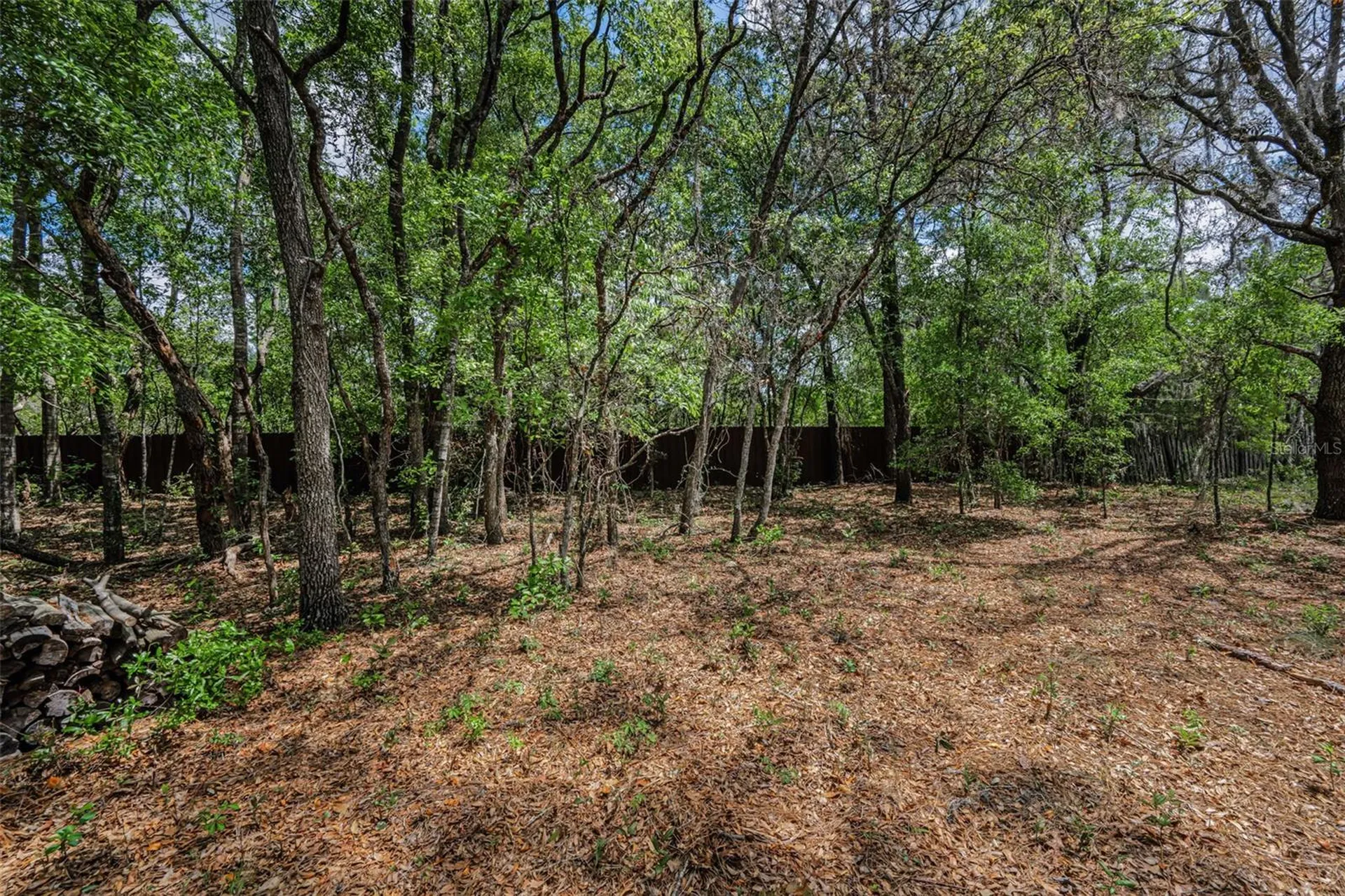 15747 Sago Drive Brooksville FL 34604