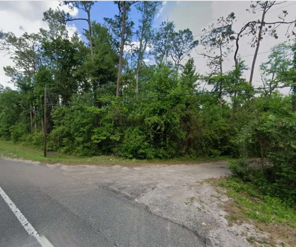 Tbd State Road 33 Clermont FL 34711