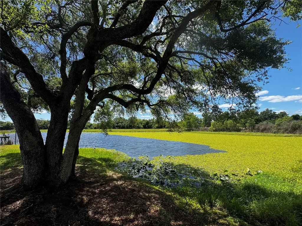 1310 Rolling Woods Lane Lakeland FL 33813