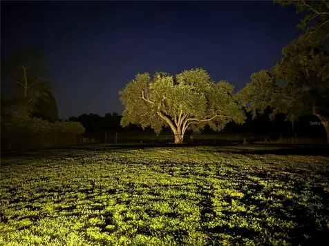 1310 Rolling Woods Lane Lakeland FL 33813