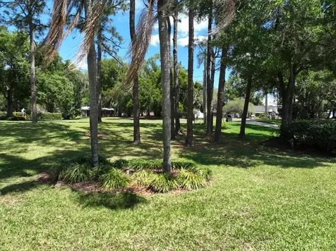 1310 Rolling Woods Lane Lakeland FL 33813