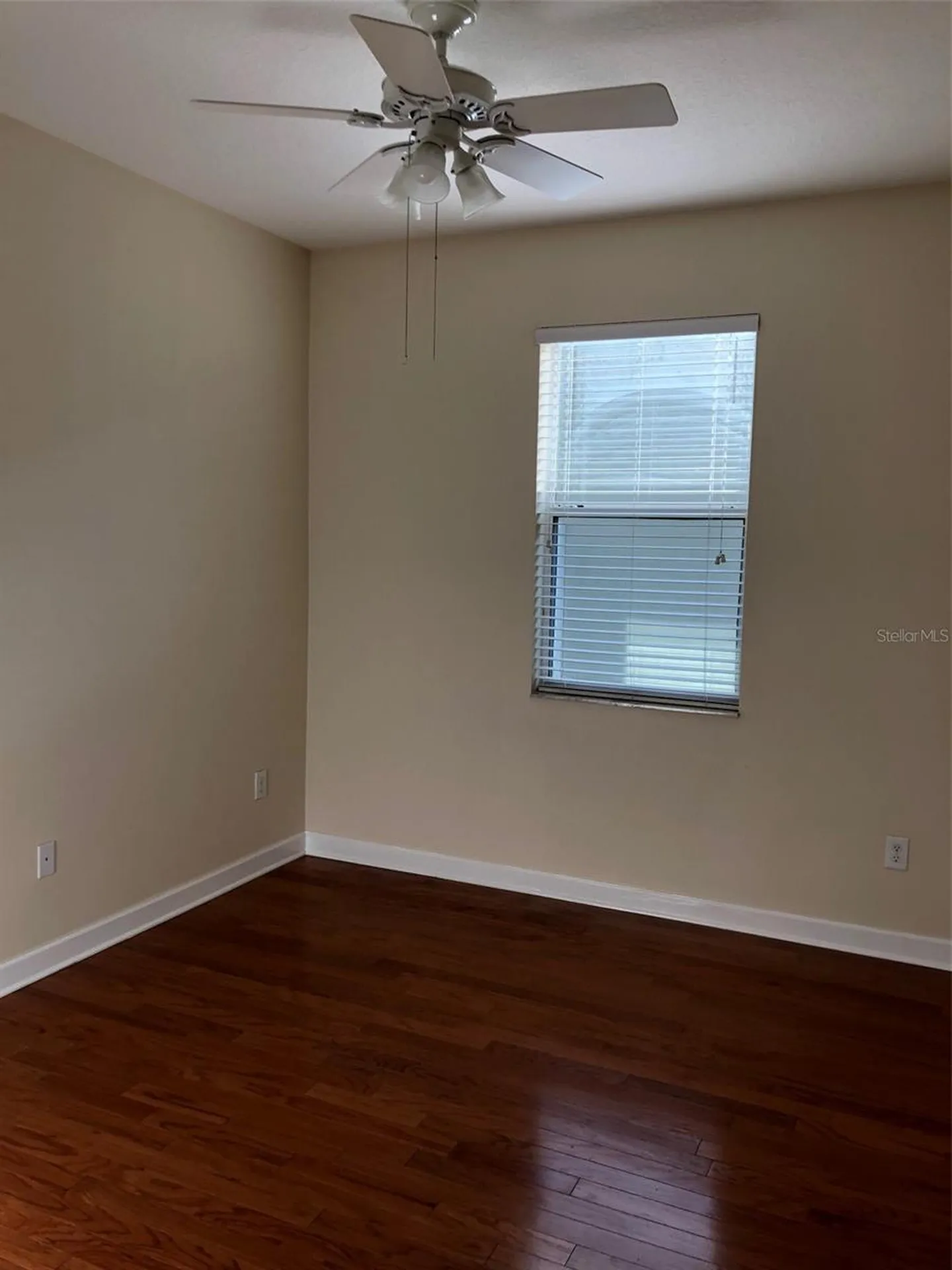 20012 Oakflower Avenue Tampa FL 33647