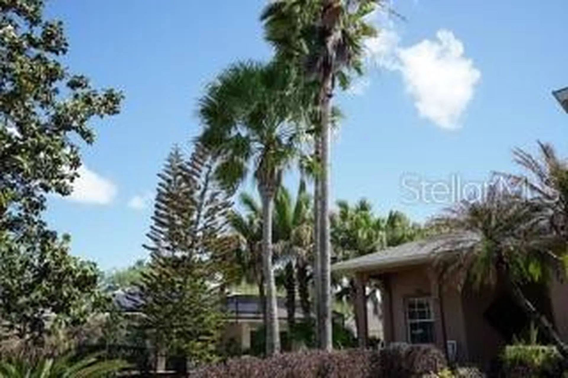 281 Crystal River Drive Kissimmee FL 34759