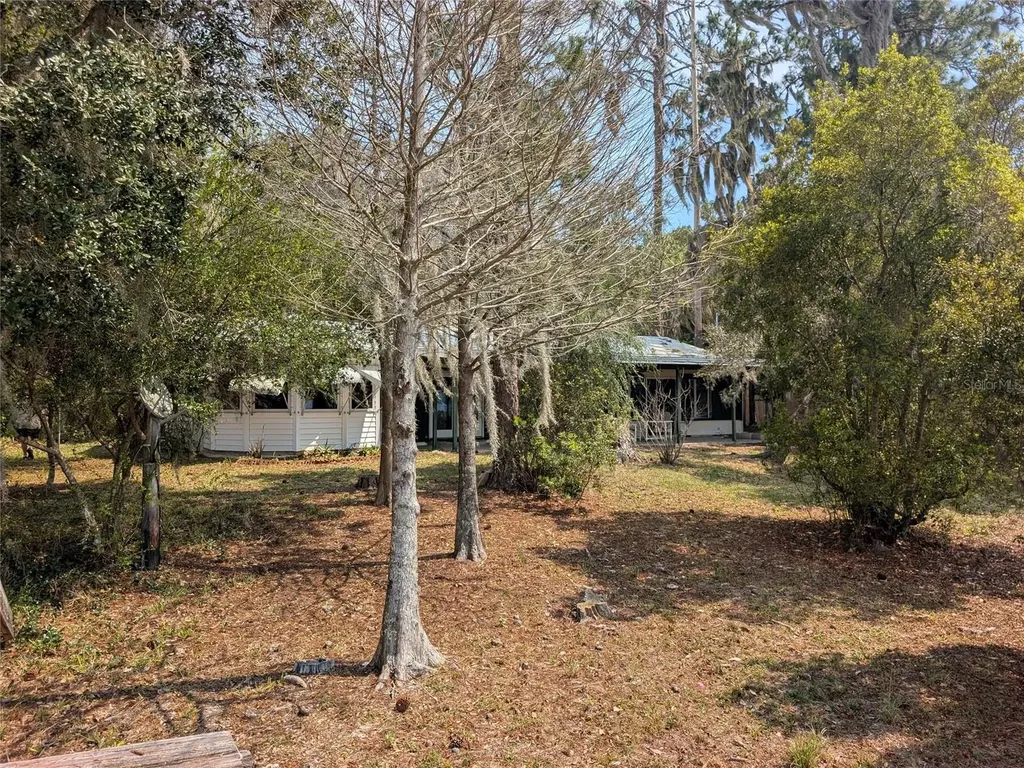 23797 NE 189th Street Fort Mc Coy FL 32134