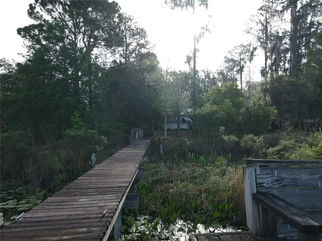 23797 NE 189th Street Fort Mc Coy FL 32134