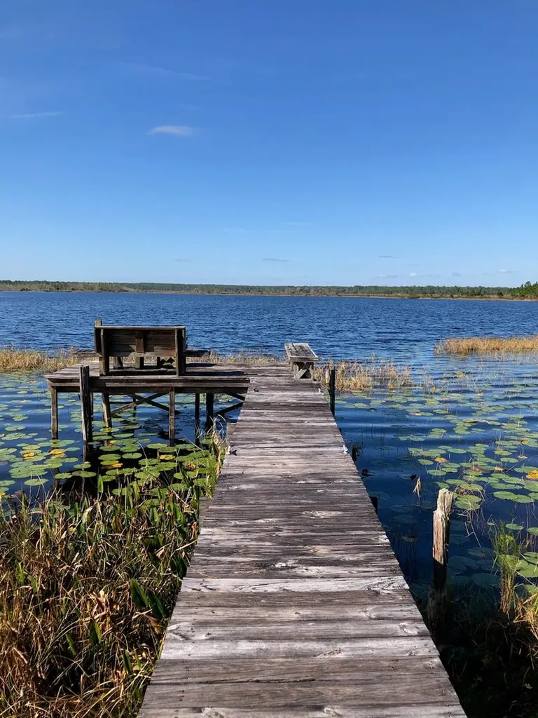 23797 NE 189th Street Fort Mc Coy FL 32134
