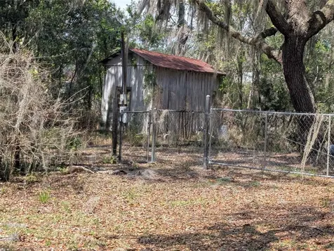 23797 NE 189th Street Fort Mc Coy FL 32134