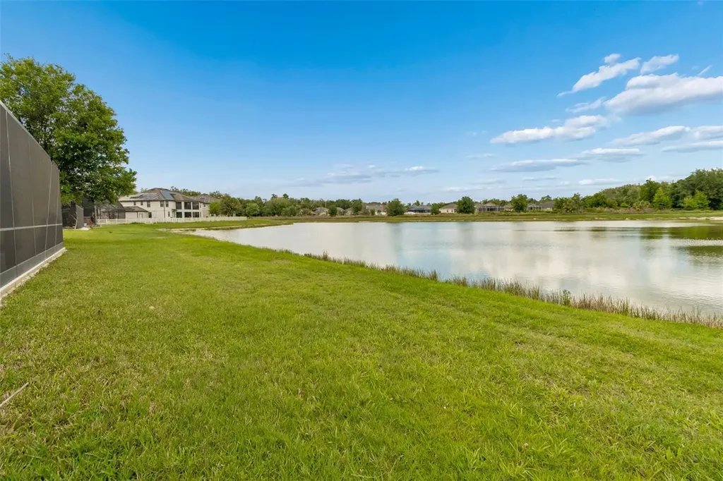 10316 Clover Pine Drive Tampa FL 33647