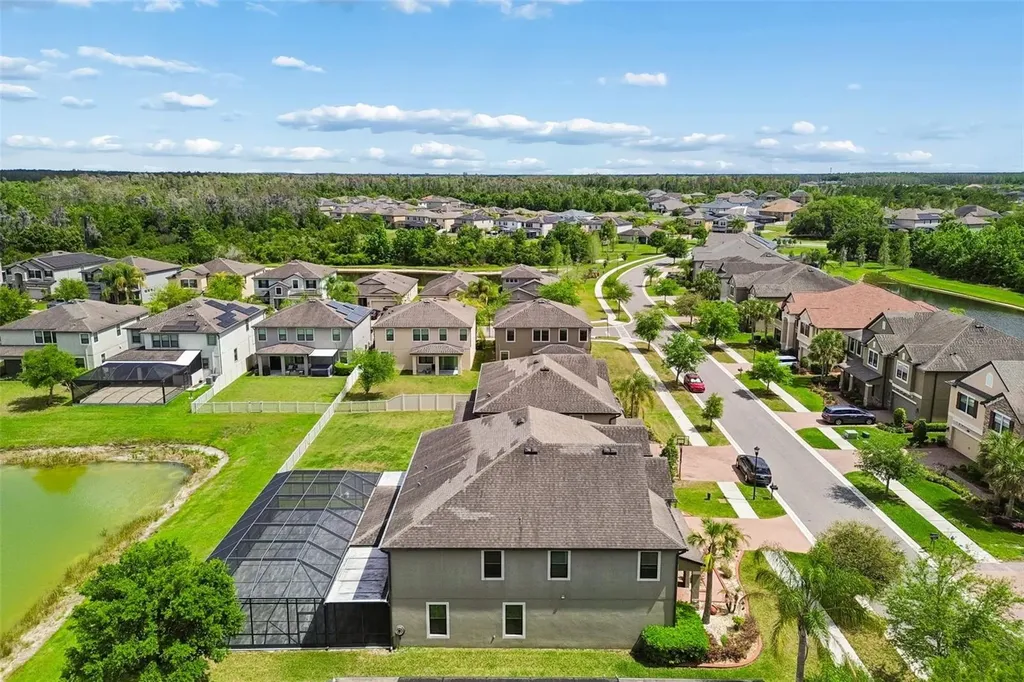 10316 Clover Pine Drive Tampa FL 33647
