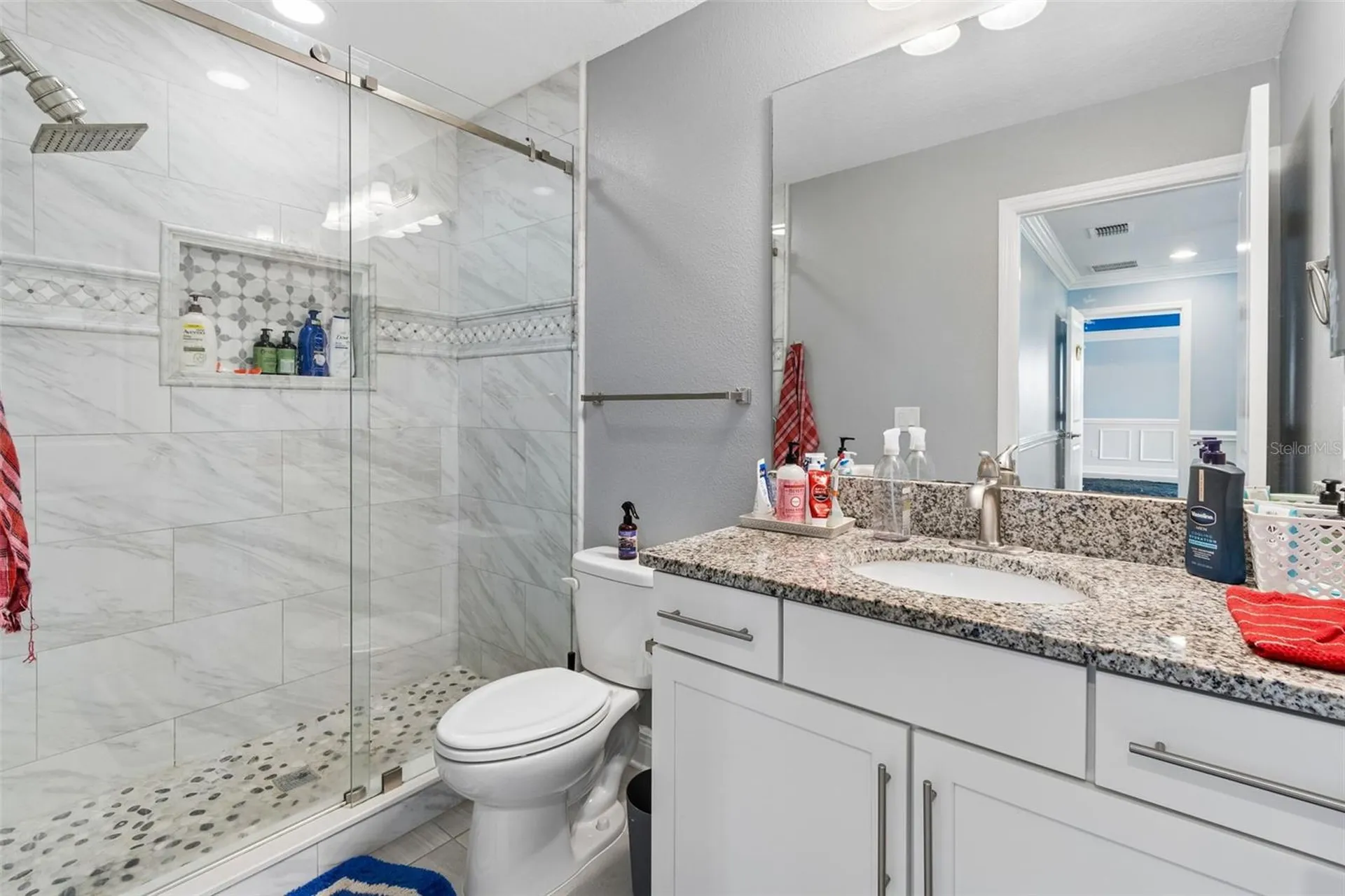 10316 Clover Pine Drive Tampa FL 33647