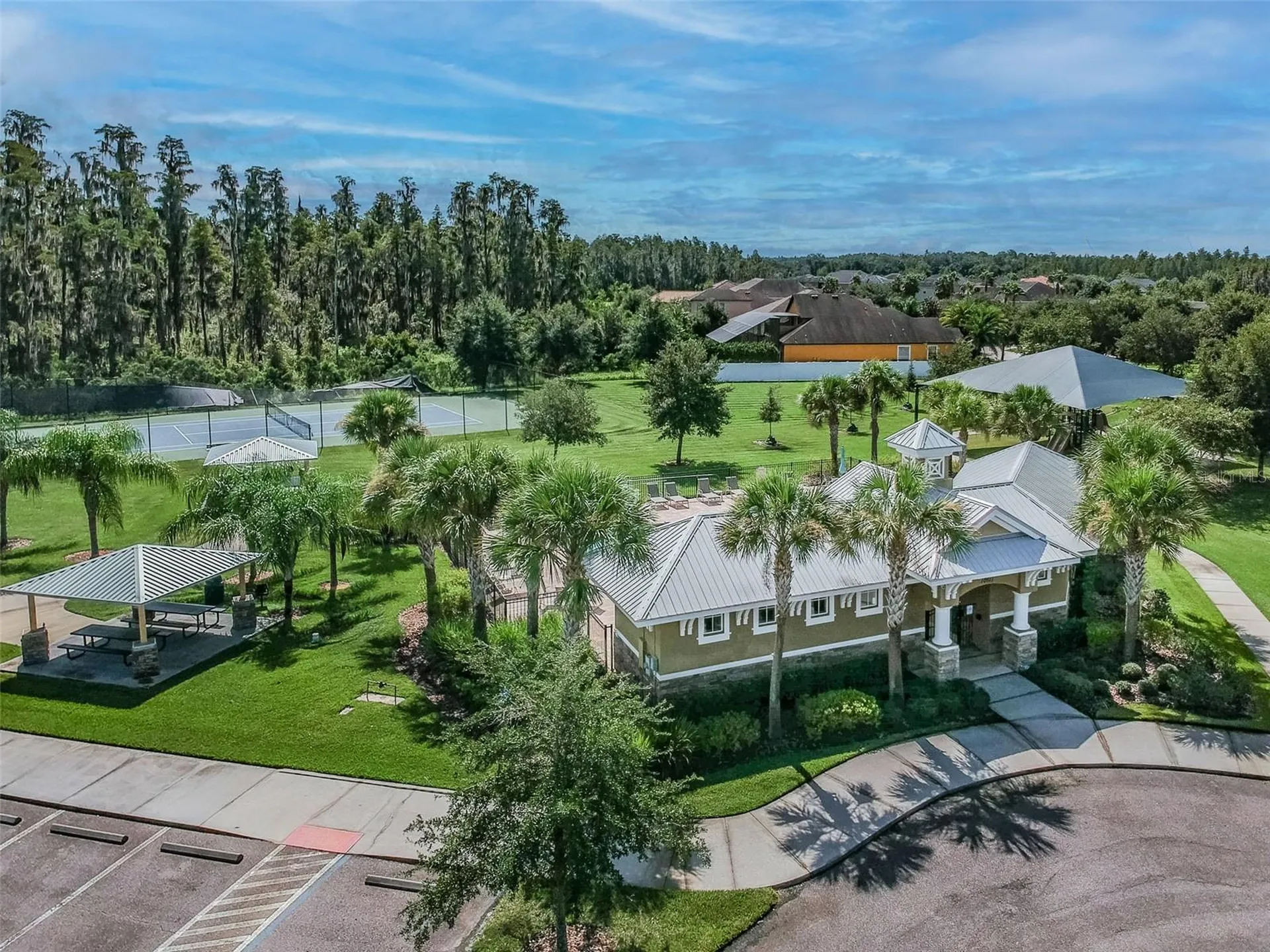 10316 Clover Pine Drive Tampa FL 33647
