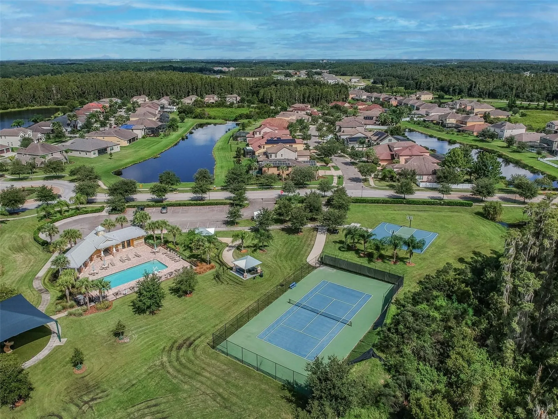 10316 Clover Pine Drive Tampa FL 33647