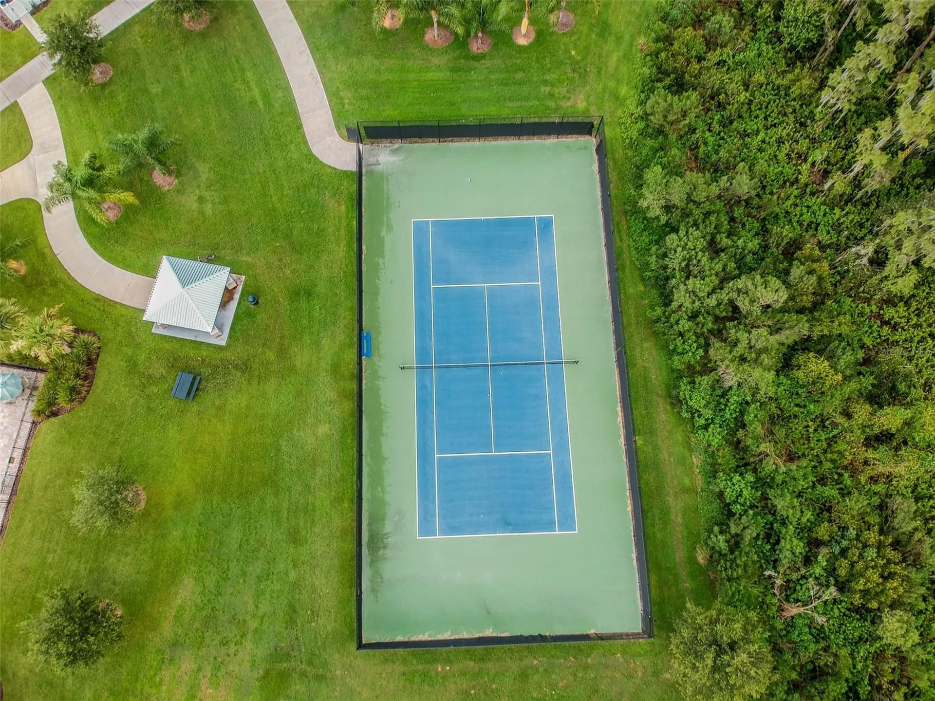 10316 Clover Pine Drive Tampa FL 33647