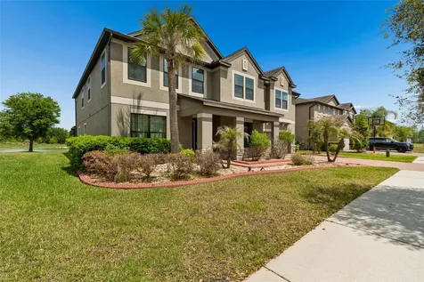 10316 Clover Pine Drive Tampa FL 33647