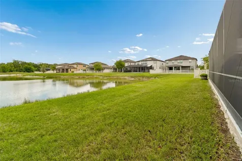 10316 Clover Pine Drive Tampa FL 33647