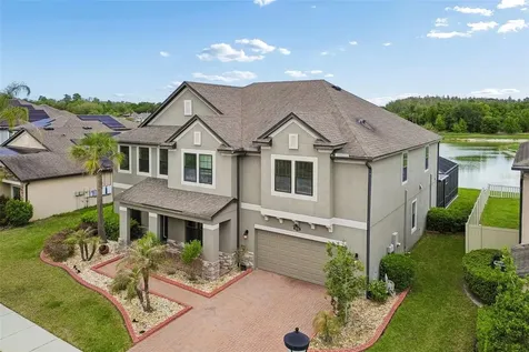 10316 Clover Pine Drive Tampa FL 33647