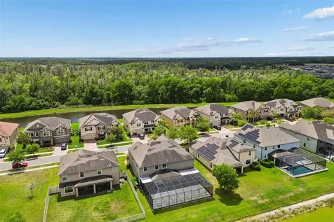 10316 Clover Pine Drive Tampa FL 33647
