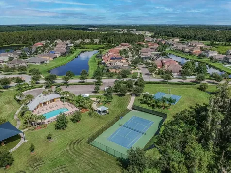 10316 Clover Pine Drive Tampa FL 33647