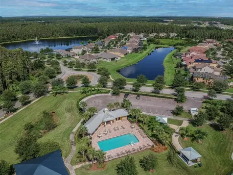 10316 Clover Pine Drive Tampa FL 33647