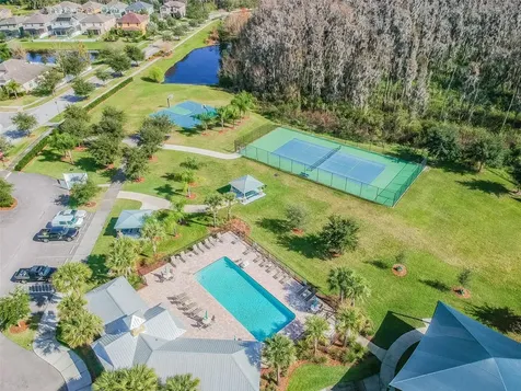 10316 Clover Pine Drive Tampa FL 33647