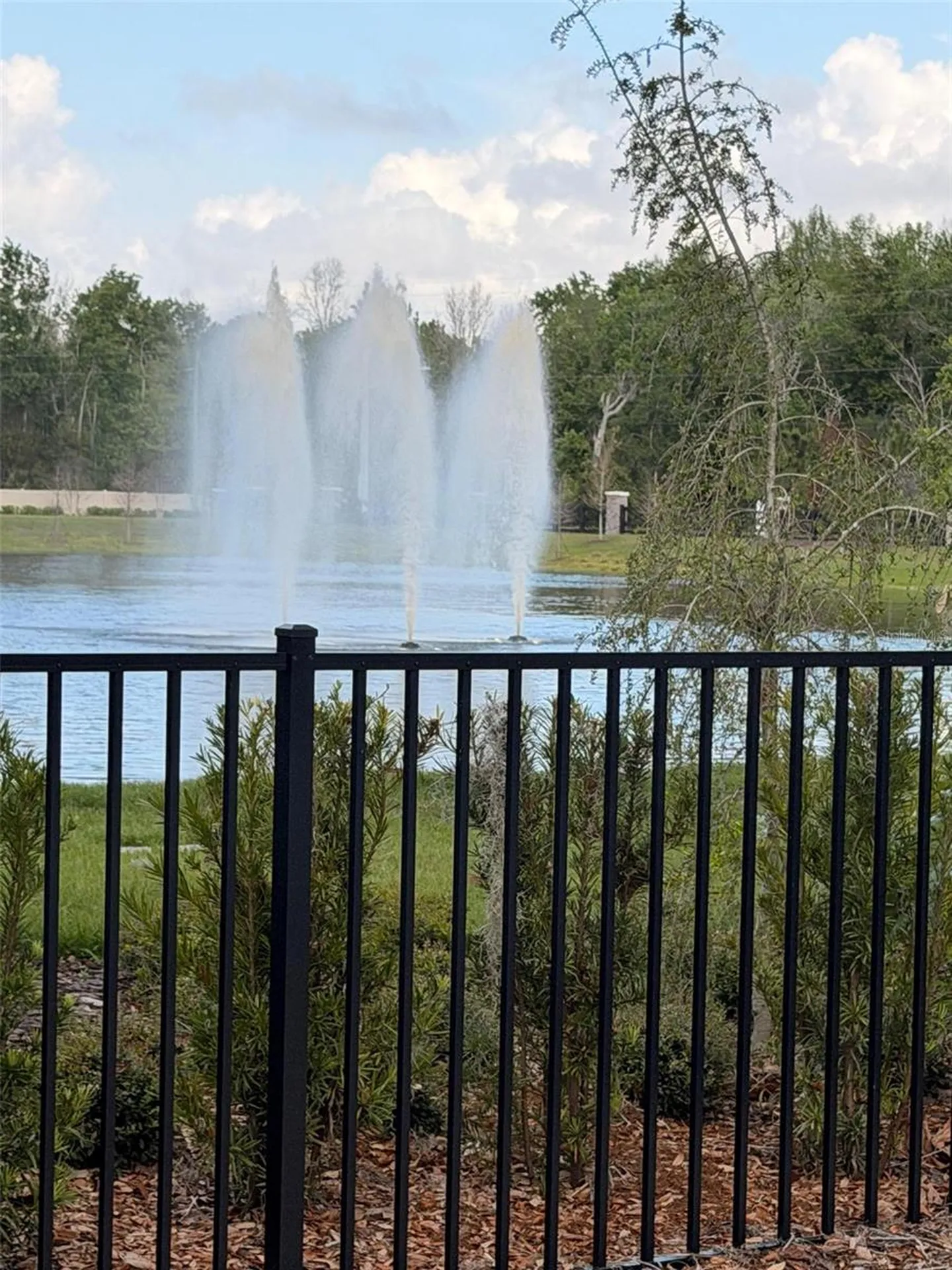11342 Nona Sound Street Orlando FL 32832