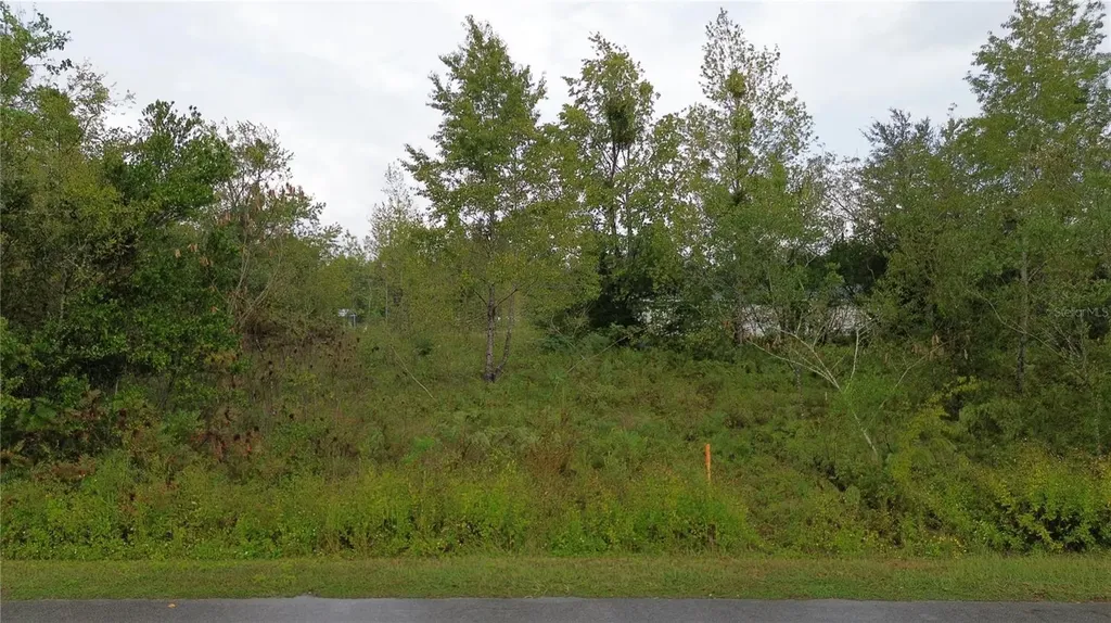 1917 NW 4th Street Ocala FL 34471