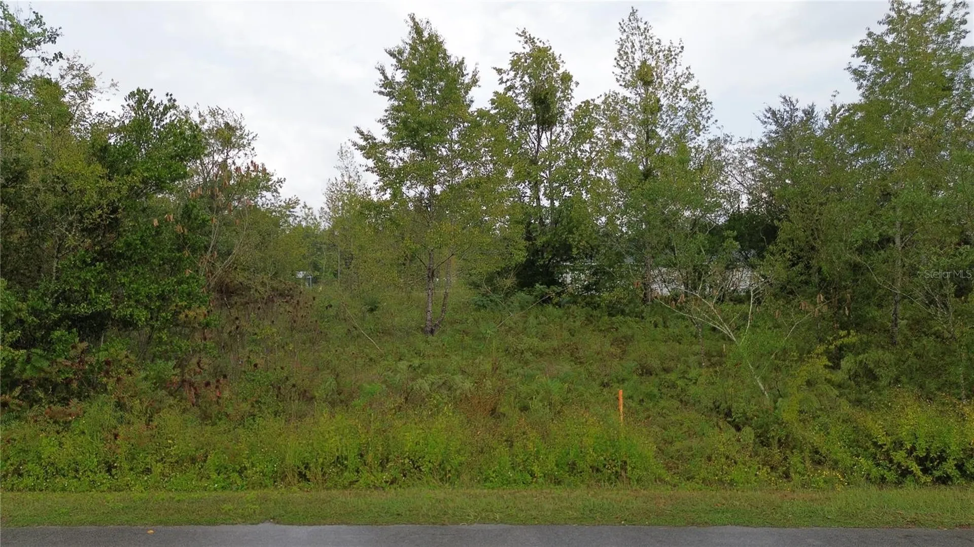 1917 NW 4th Street Ocala FL 34471