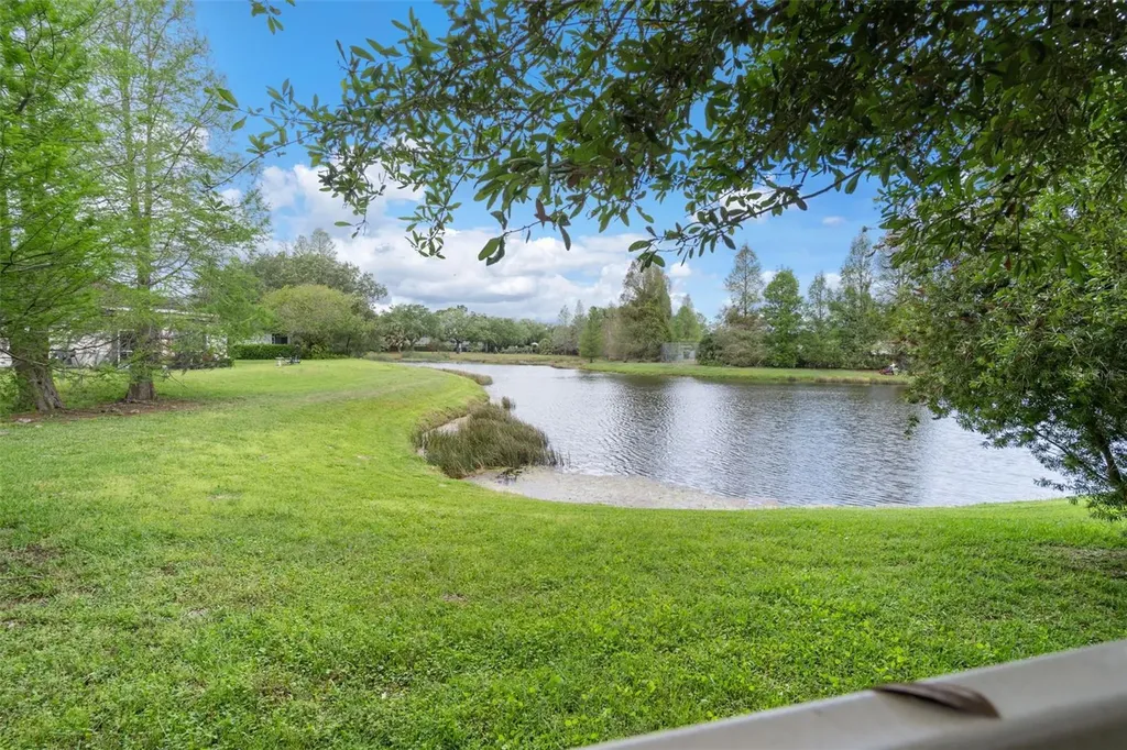 11504 Crowned Sparrow Lane Tampa FL 33626