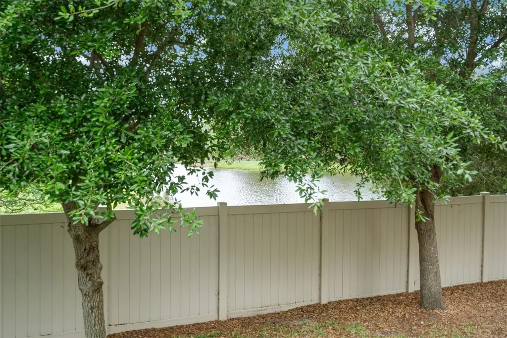 11504 Crowned Sparrow Lane Tampa FL 33626