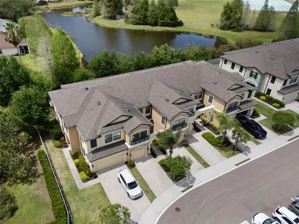 11504 Crowned Sparrow Lane Tampa FL 33626